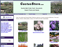 Tablet Screenshot of cactusstore.com